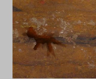 Creation of Cave Paintings: Step 7